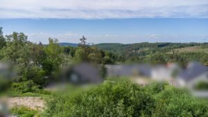 Ihr künftiger Ausblick