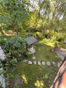 Blick in den Garten